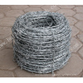 Electric/Hot Dipped Galvanized Barbed Wire